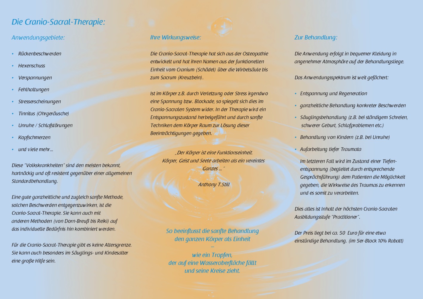 Flyer2